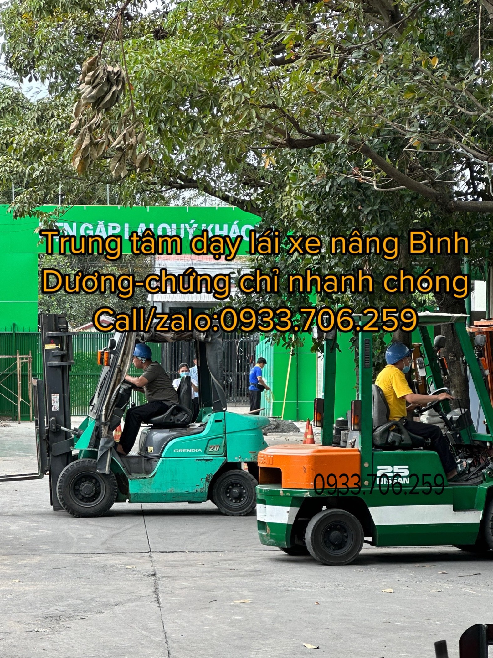 Đào Tạo Lái Xe Nâng Hàng Khu Vực Bình Dương